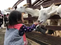 らくのうマザーズ阿蘇ミルク牧場の写真・動画_image_163495