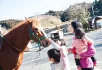 陽なたぼっこの写真・動画_image_163499