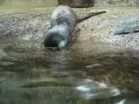 仙台うみの杜水族館の写真・動画_image_163546