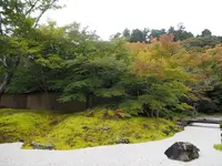 円通院の写真・動画_image_163556