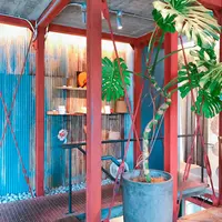 離島キッチンの写真・動画_image_163576