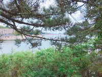 五大堂の写真・動画_image_163581