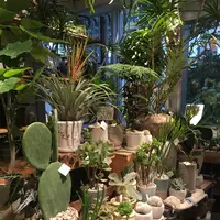 IDEE SHOP自由が丘店(イデーショップ自由が丘店)の写真・動画_image_163593