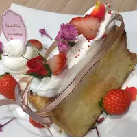 ラストシフォン （Last chiffon）の写真・動画_image_163750