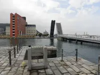 ブルーウィングもじの写真・動画_image_164066