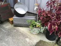 カフェ イル ヴェンティチェッロの写真・動画_image_164163