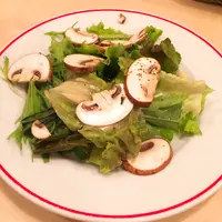パリのワイン食堂の写真・動画_image_164215