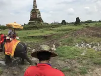 アユタヤ・エレファント・キャンプの写真・動画_image_164239