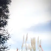 むさしの森珈琲 朝霞本町店の写真・動画_image_164320