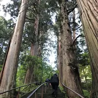 戸隠神社中社の写真・動画_image_164380