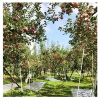 塩崎農園の写真・動画_image_164381