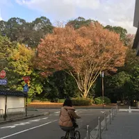 金沢市立玉川図書館の写真・動画_image_164606