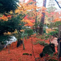 兼六園の写真・動画_image_164608
