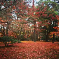 兼六園の写真・動画_image_164609