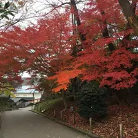 金沢城公園の写真・動画_image_164611