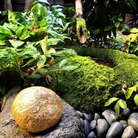 箔座 箔座ひかり藏の写真・動画_image_164626