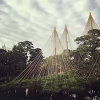 兼六園の写真・動画_image_164633