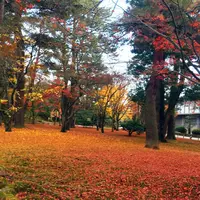 兼六園の写真・動画_image_164634