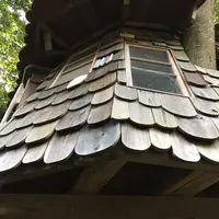 東北ツリーハウス観光協会3号ツリーハウスの写真・動画_image_164651