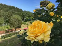 女川原子力ＰＲセンターの写真・動画_image_164660