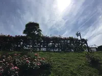 女川原子力ＰＲセンターの写真・動画_image_164661