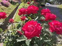 女川原子力ＰＲセンターの写真・動画_image_164662