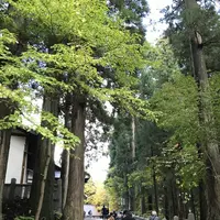 戸隠神社中社の写真・動画_image_164684