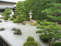 宗安寺の写真・動画_image_164785