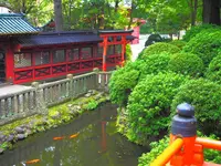 根津神社の写真・動画_image_164801