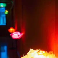 信州湯田中温泉 華灯りの宿 加命の湯の写真・動画_image_164821