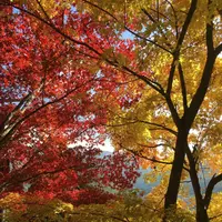 山寺の写真・動画_image_164885