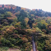 最上川舟下り義経ロマン観光の写真・動画_image_164907