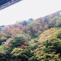 最上川舟下り義経ロマン観光の写真・動画_image_164912