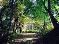 若松寺の写真・動画_image_164949