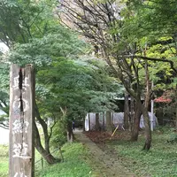 最上川舟下り義経ロマン観光の写真・動画_image_165038
