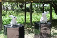 出雲大社の写真・動画_image_165077