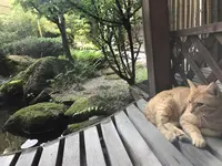 旅亭 山の井の写真・動画_image_165092