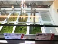 由布院 ときの色の写真・動画_image_165165