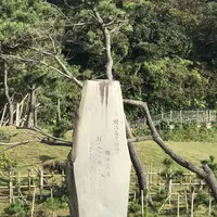 稲村ケ崎の写真・動画_image_165176