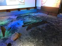 いろは丸展示館の写真・動画_image_165256