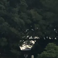 仙酔島の写真・動画_image_165299