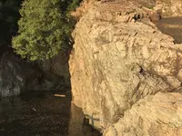 仙酔島の写真・動画_image_165301
