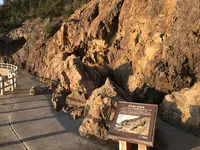 仙酔島の写真・動画_image_165303