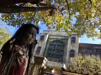 富士急ハイランドの写真・動画_image_165334