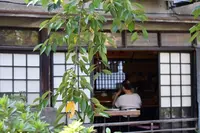 京都駅の写真・動画_image_165392