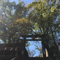 稲佐山の写真・動画_image_165507