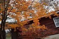 キープやまねミュージアムの写真・動画_image_165602