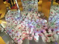 Day After Dayの写真・動画_image_165761