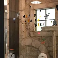 Shiny Owl（シャイニーアウル 富ヶ谷）の写真・動画_image_165828