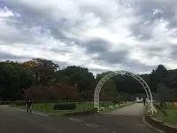 代々木公園の写真・動画_image_165885